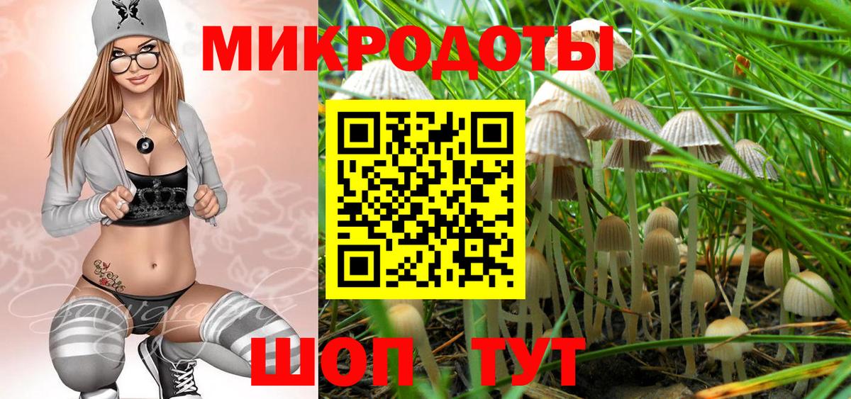 Галлюциногенные грибы ЛСД  Галлюциногенные грибы Psilocybine cubensis  Гатчина  Вход с VPN 