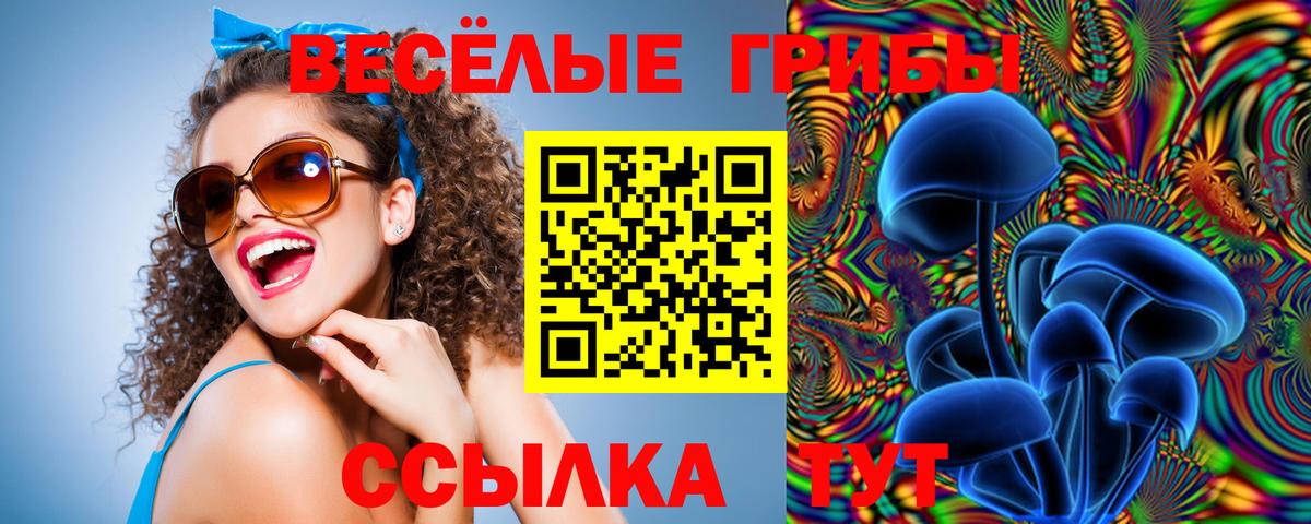 Галлюциногенные грибы ЛСД Гатчина